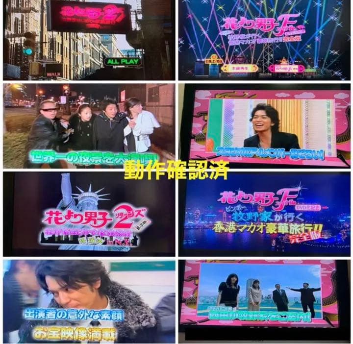 【送料無料】花より男子 DVD TVシリーズ & 劇場版 全14点セット