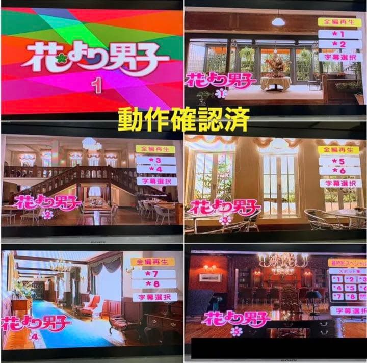 【送料無料】花より男子 DVD TVシリーズ & 劇場版 全14点セット