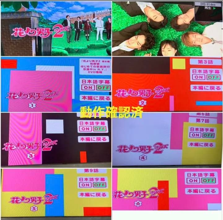 【送料無料】花より男子 DVD TVシリーズ & 劇場版 全14点セット