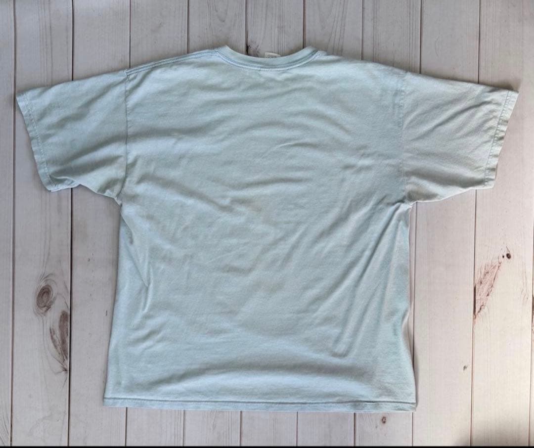 RED HOT CHILI PEPPERS カレッジロゴTシャツ レッチリ