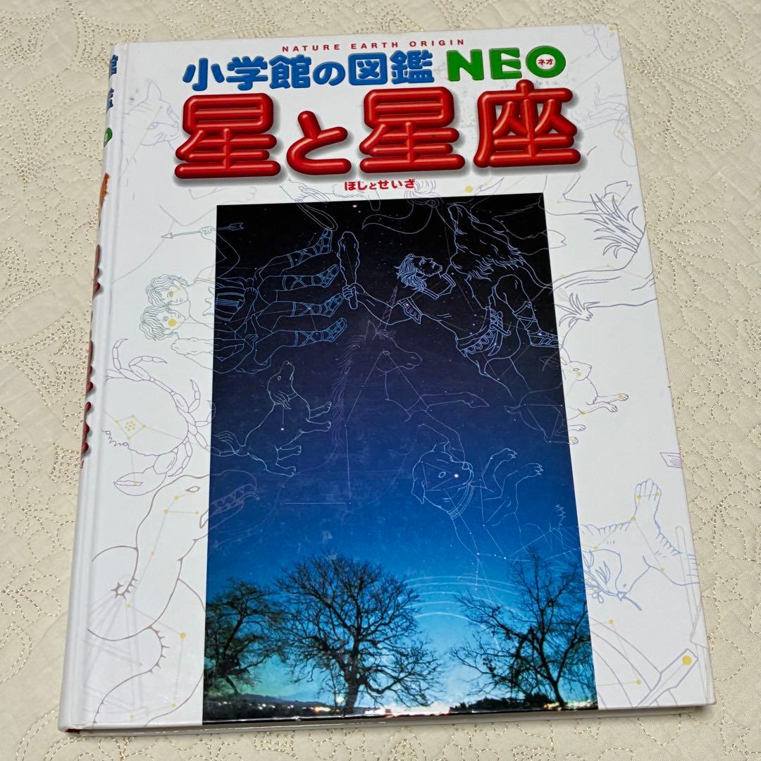 【即日発送】美品 ネオ図鑑 まとめ売り おすすめ 幼児 小学生 10冊セット