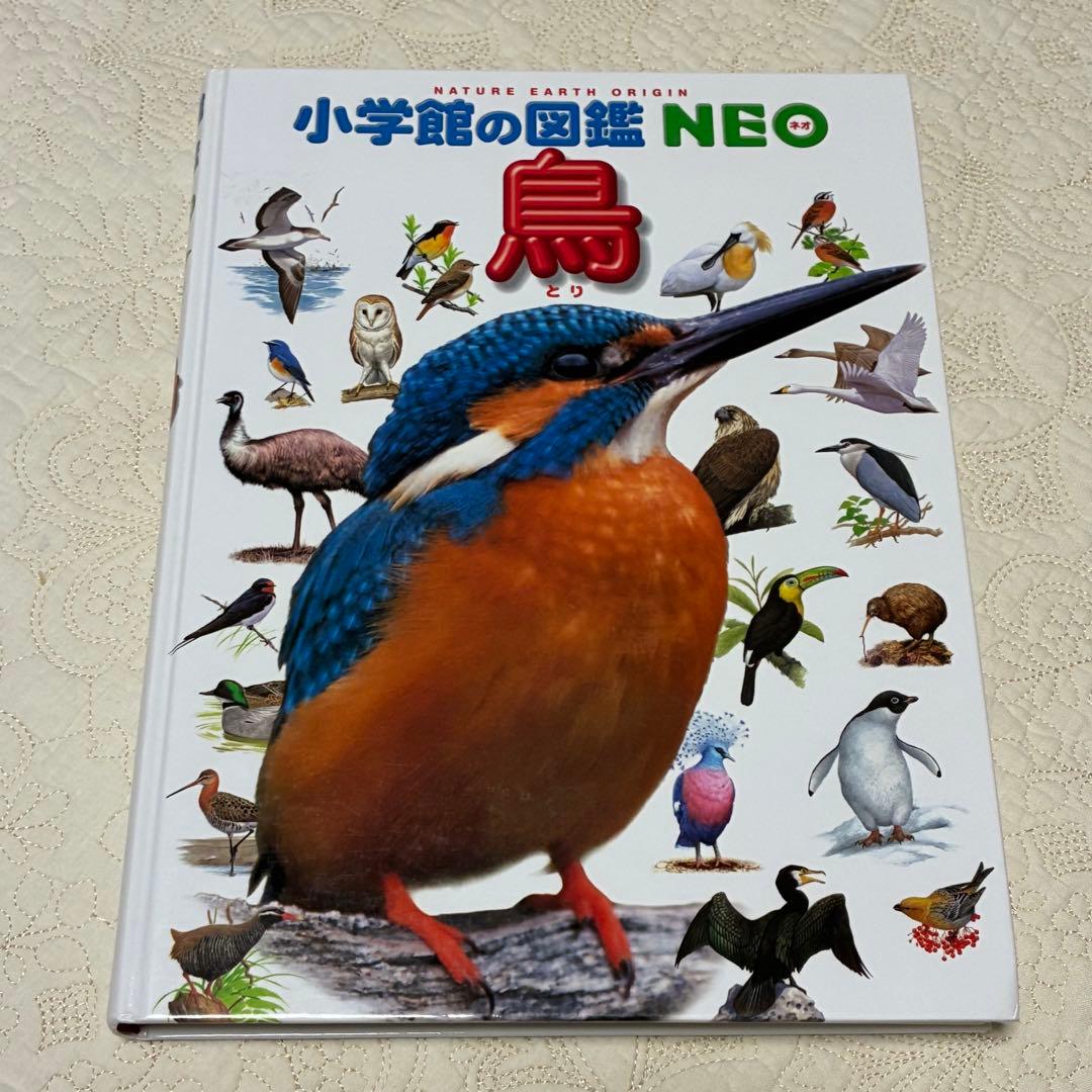 【即日発送】美品 ネオ図鑑 まとめ売り おすすめ 幼児 小学生 10冊セット
