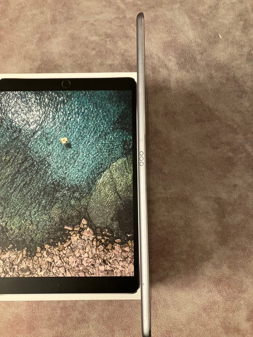 Apple iPad Pro 10.5 Wi-Fi+Cellular ジャンク