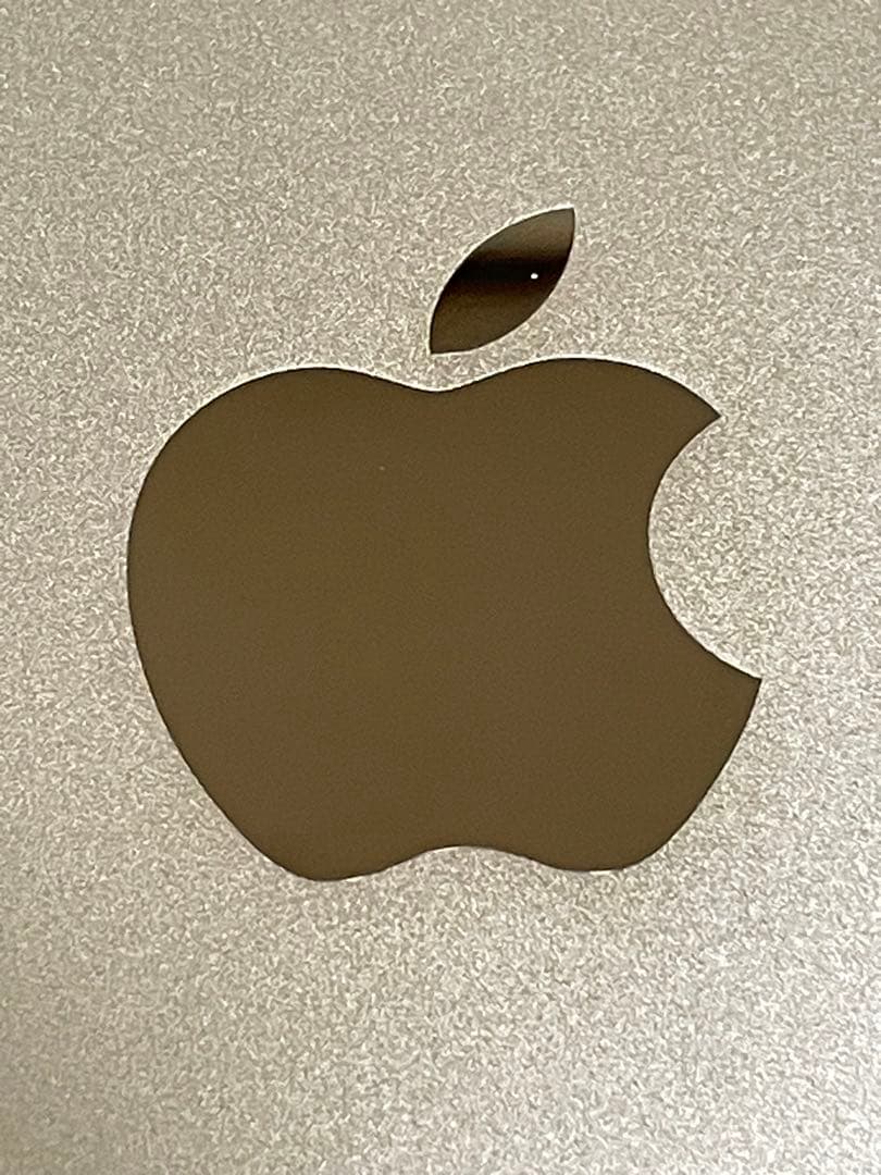 iPad 第5世代 32GB ゴールド au Wi-Fi SIMロック不明