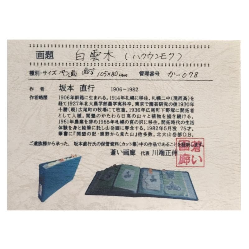 ☆坂本直行☆「白雲木」ペン画　インチサイズ