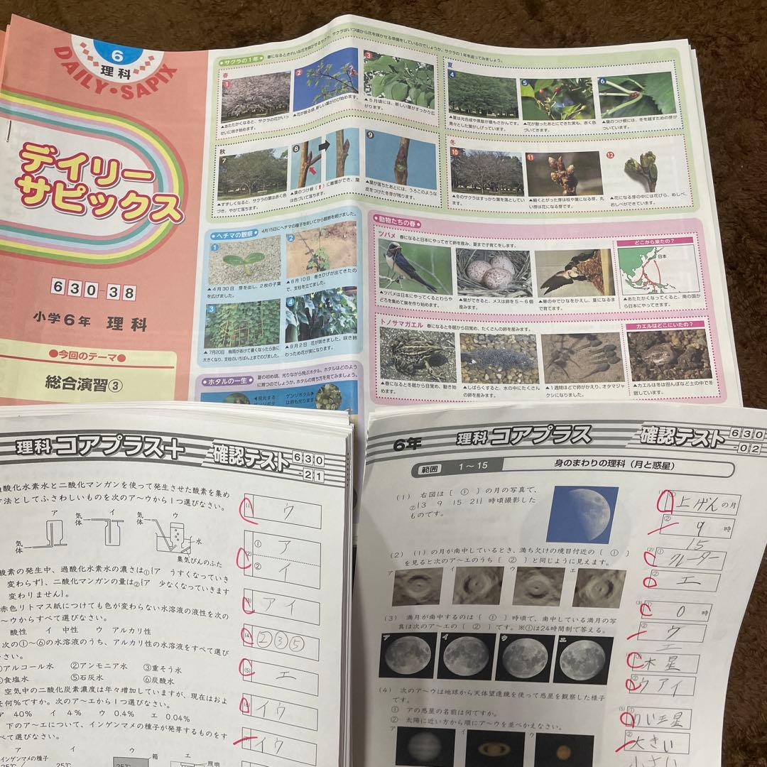 SAPIX 6年　理科　2026年受験　デイリーサピックス　1年間セット