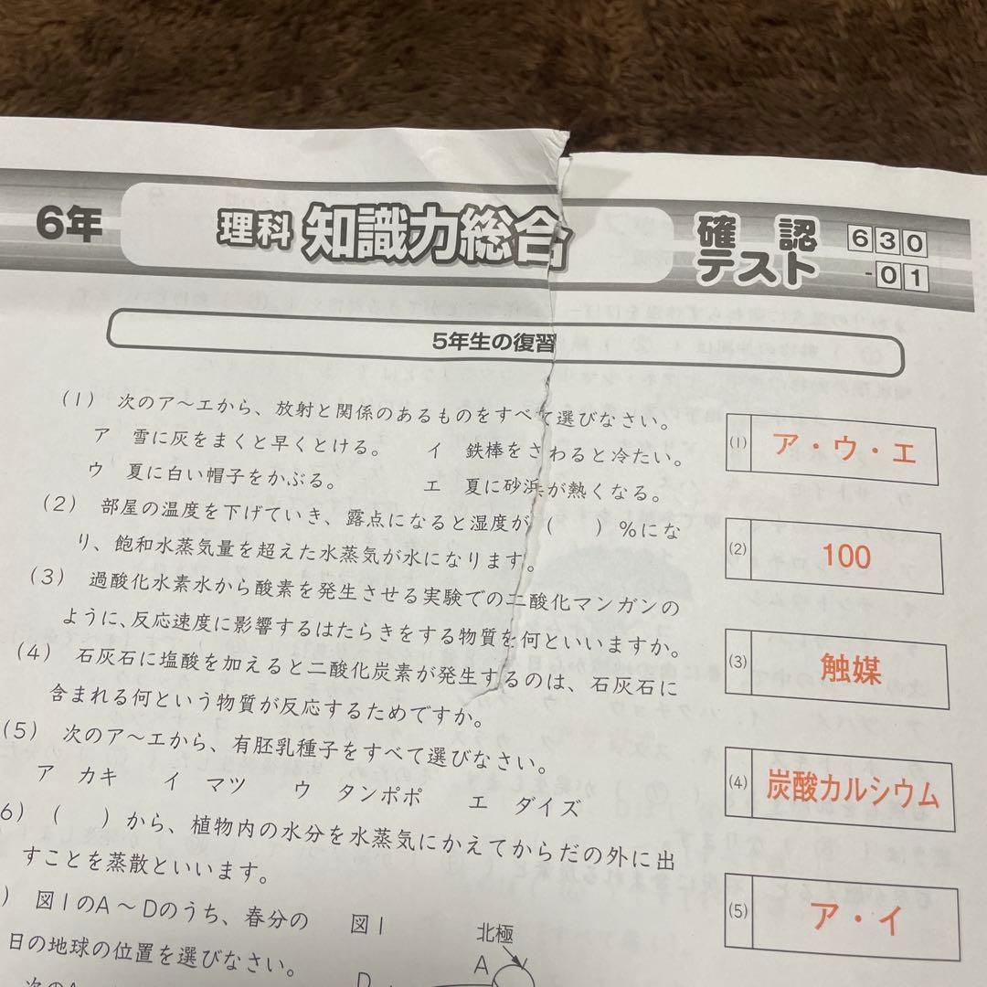 SAPIX 6年　理科　2026年受験　デイリーサピックス　1年間セット