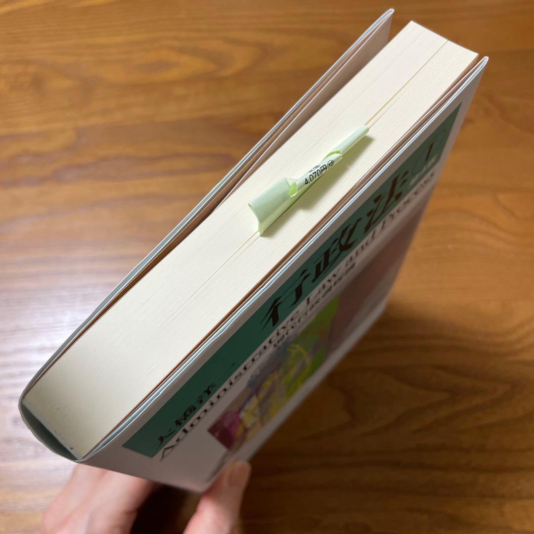 【司法試験　行政書士試験】行政法Ⅰ & Ⅱ セット現代行政過程論〔第4版〕