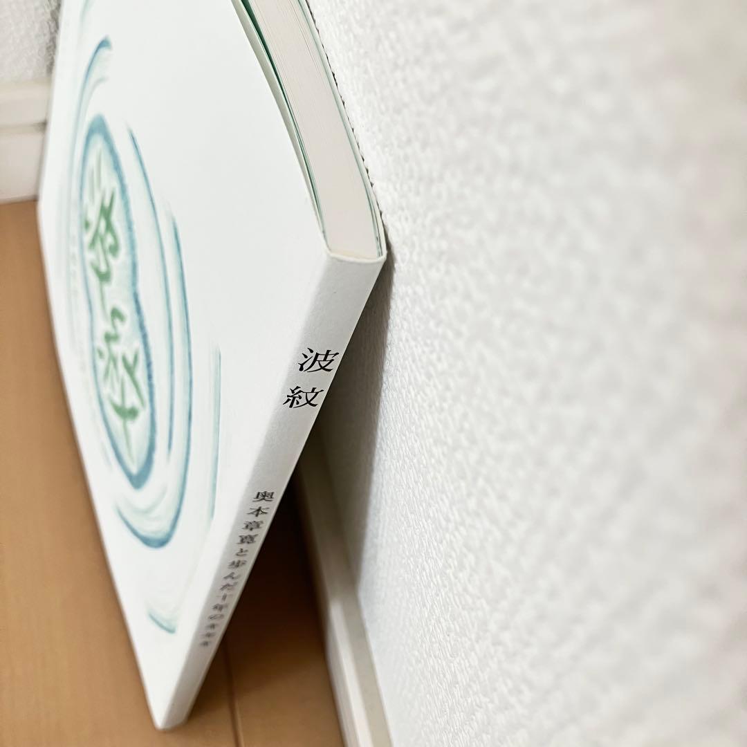【未読、絶版希少本】「波紋ー奥本章寛と歩んだ十年のキセキ」色鉛筆訴訟の贖罪の絵