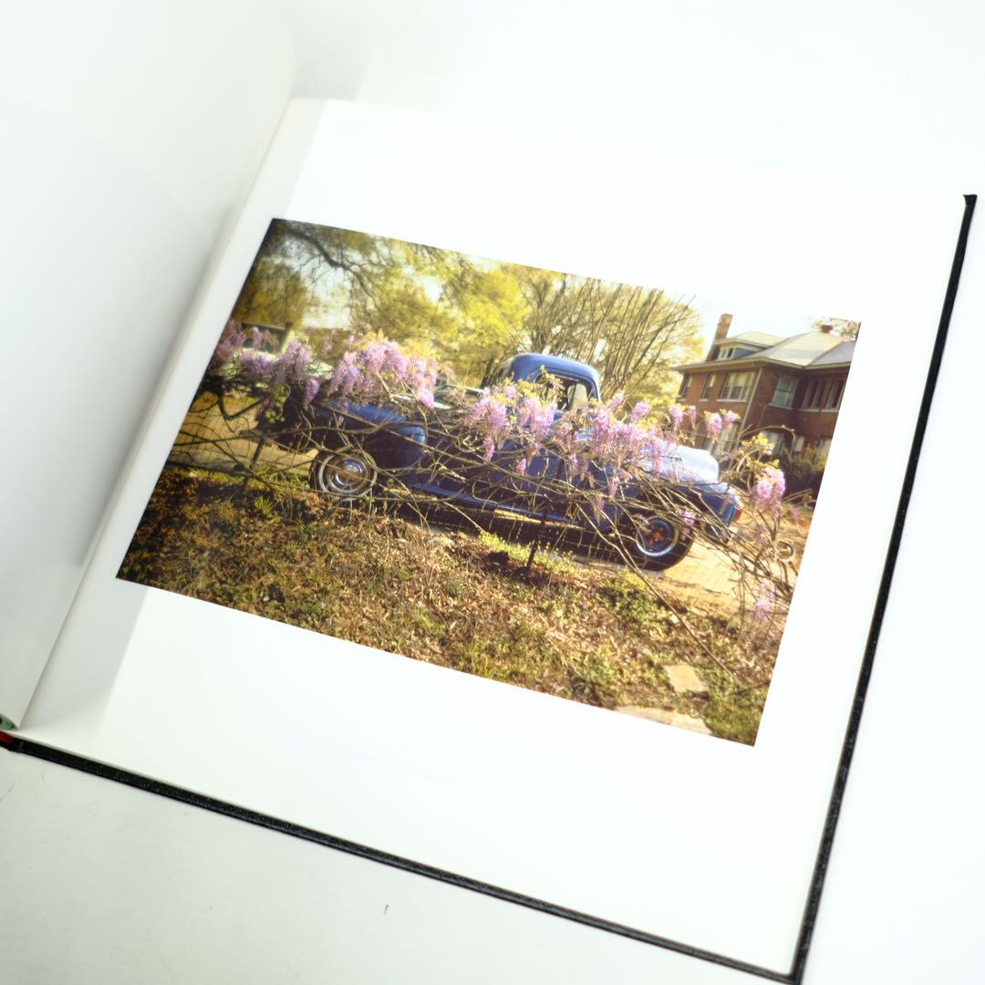 William Eggleston's Guide ウィリアム・エグルストン
