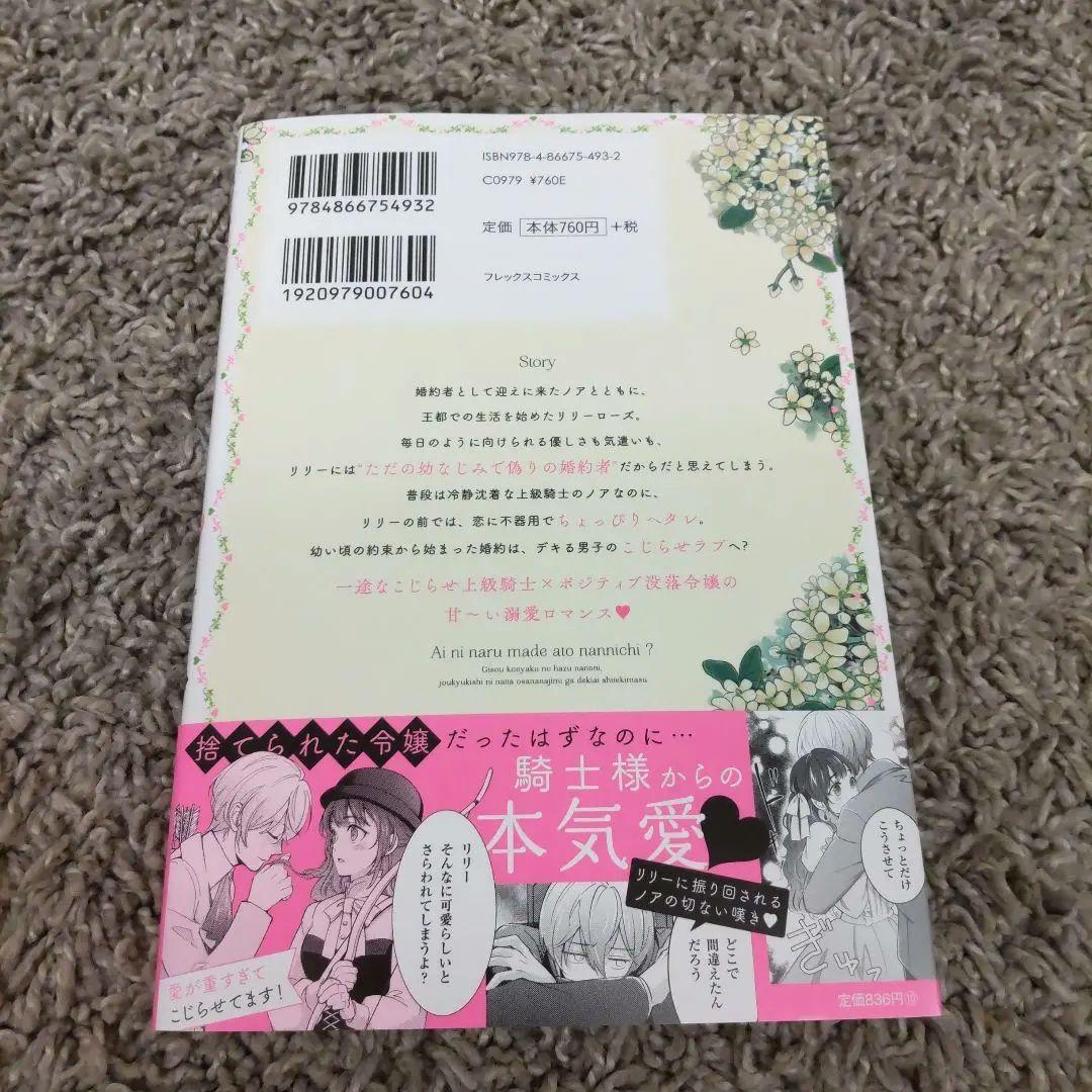 愛になるまであと何日?～偽装婚約のはずなのに、上級騎士になった幼なじみが溺愛 2