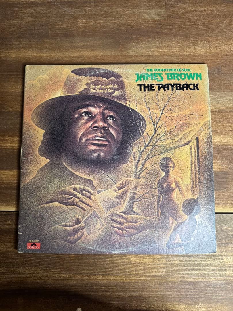 James Brown The Payback 2LP レコード