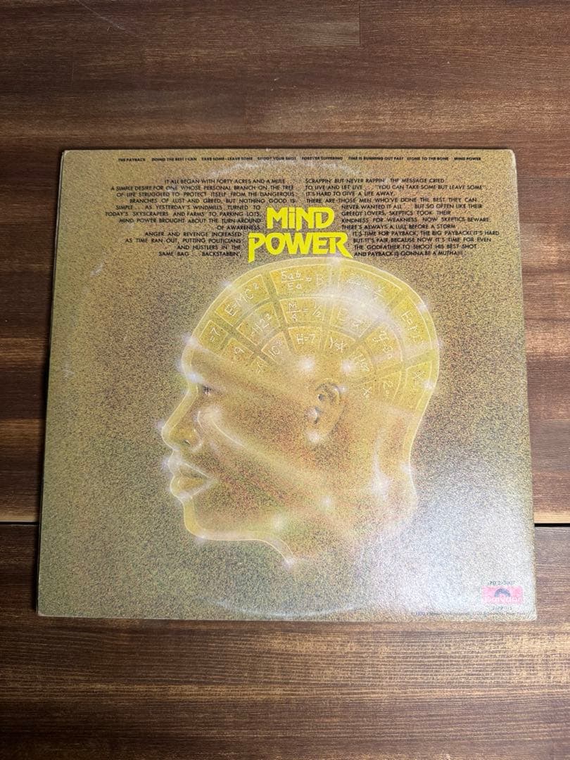 James Brown The Payback 2LP レコード