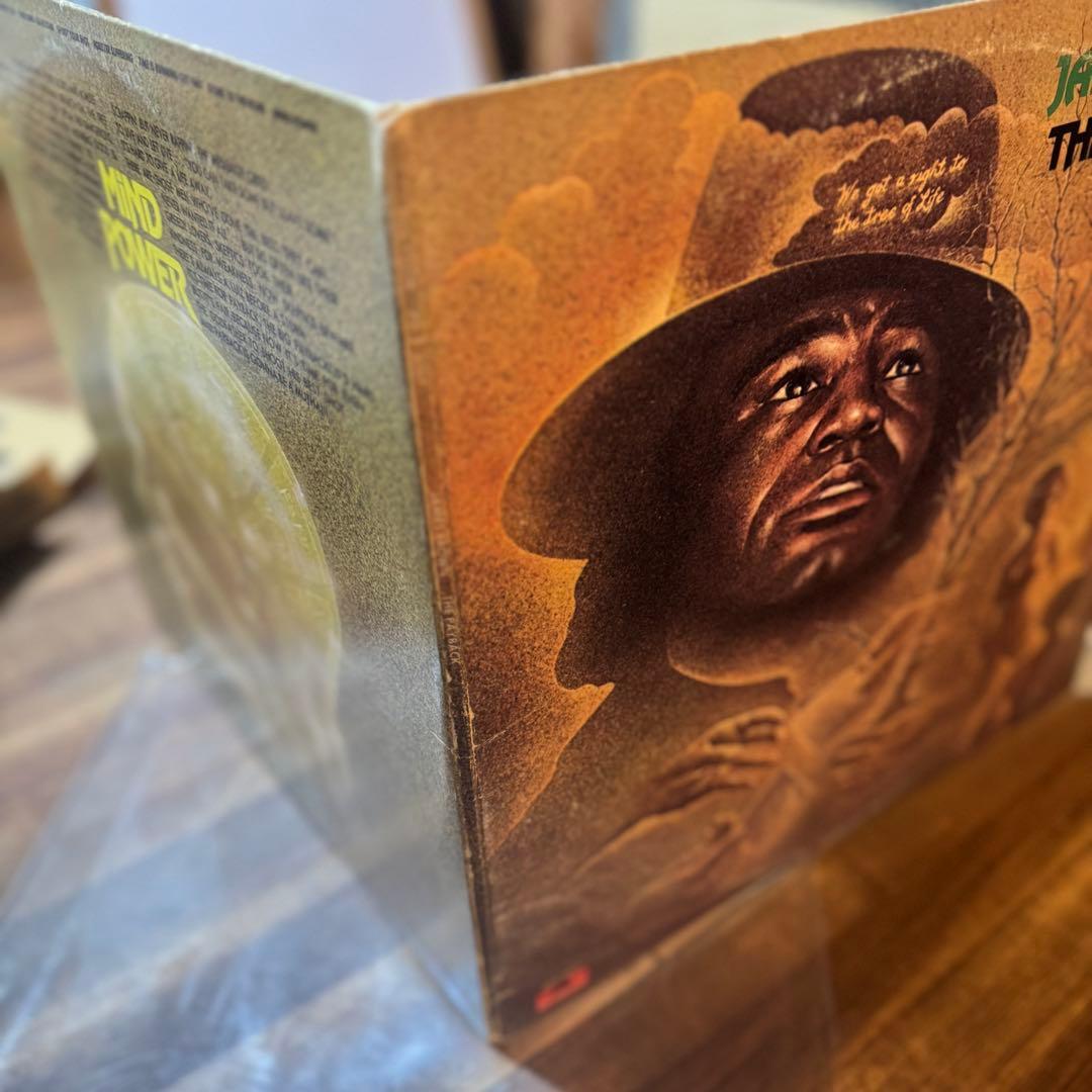 James Brown The Payback 2LP レコード