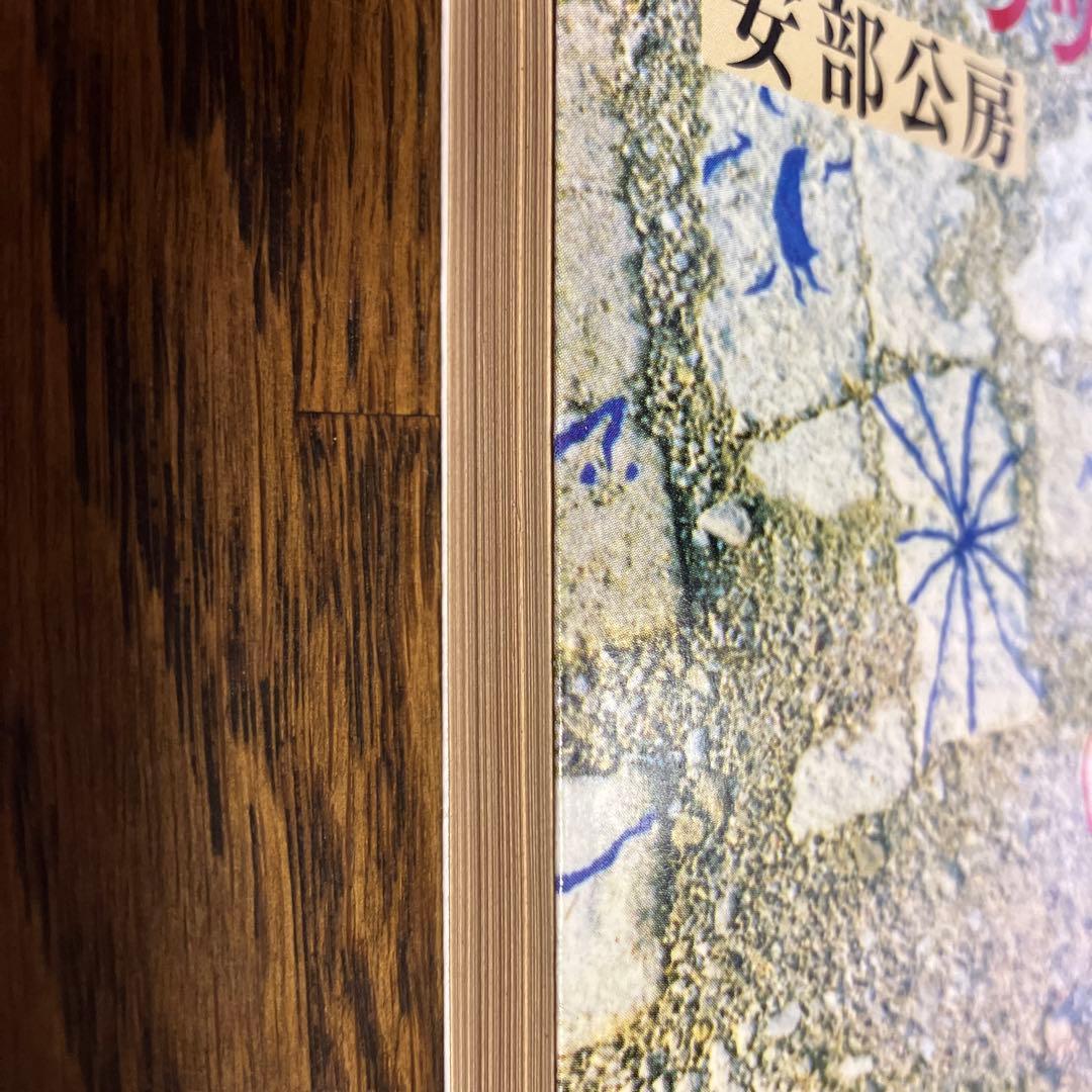 安部公房『カーブの向う・ユープケッチャ』