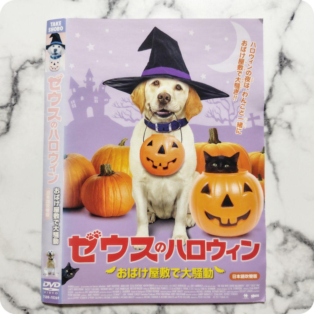 『ゼウス』レンタル落ちDVD★3枚セット