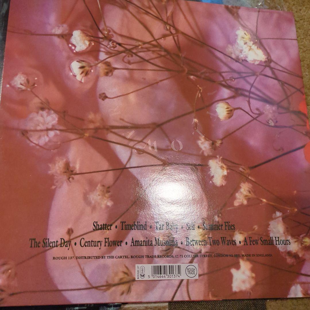 Shelleyan Orphan レコード 2枚