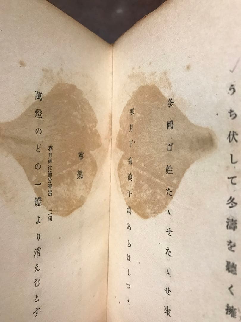 句集 紅絲　橋本多佳子　初版　目黒書店　山口誓子 序　神田秀夫 跋　書き込み無し