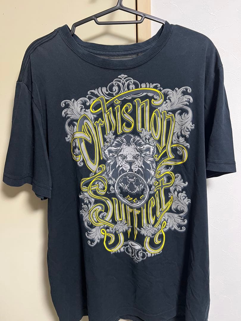 LeBron James FOCUS Tシャツ グレー