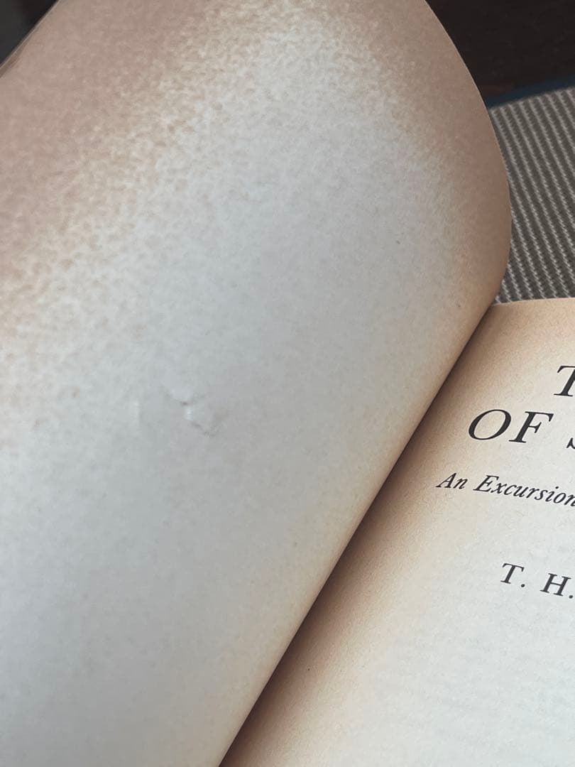 希少　The Age of Scandal T.H. White