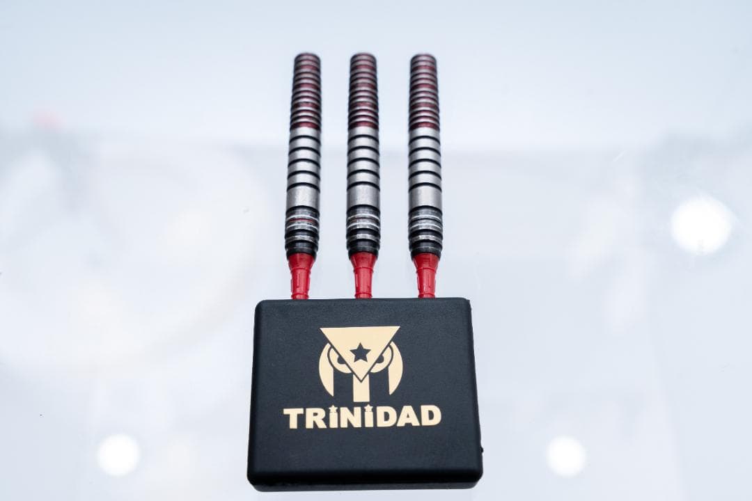 ダーツ バレル TRiNiDAD GOMEZ15 山田勇樹選手モデル ゴメス15