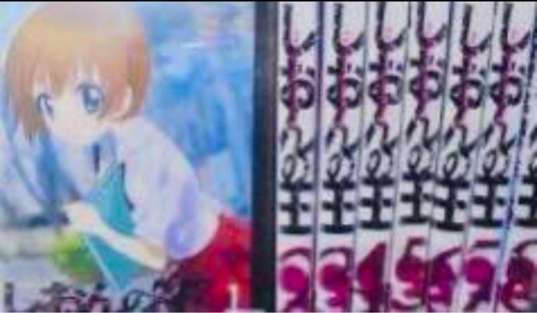 しおんの王 DVD全巻完結セット