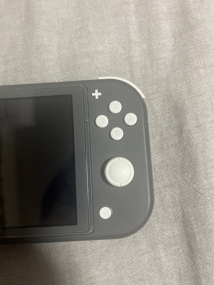 Switch Lite ジャンク品(スピーカー左側不良)