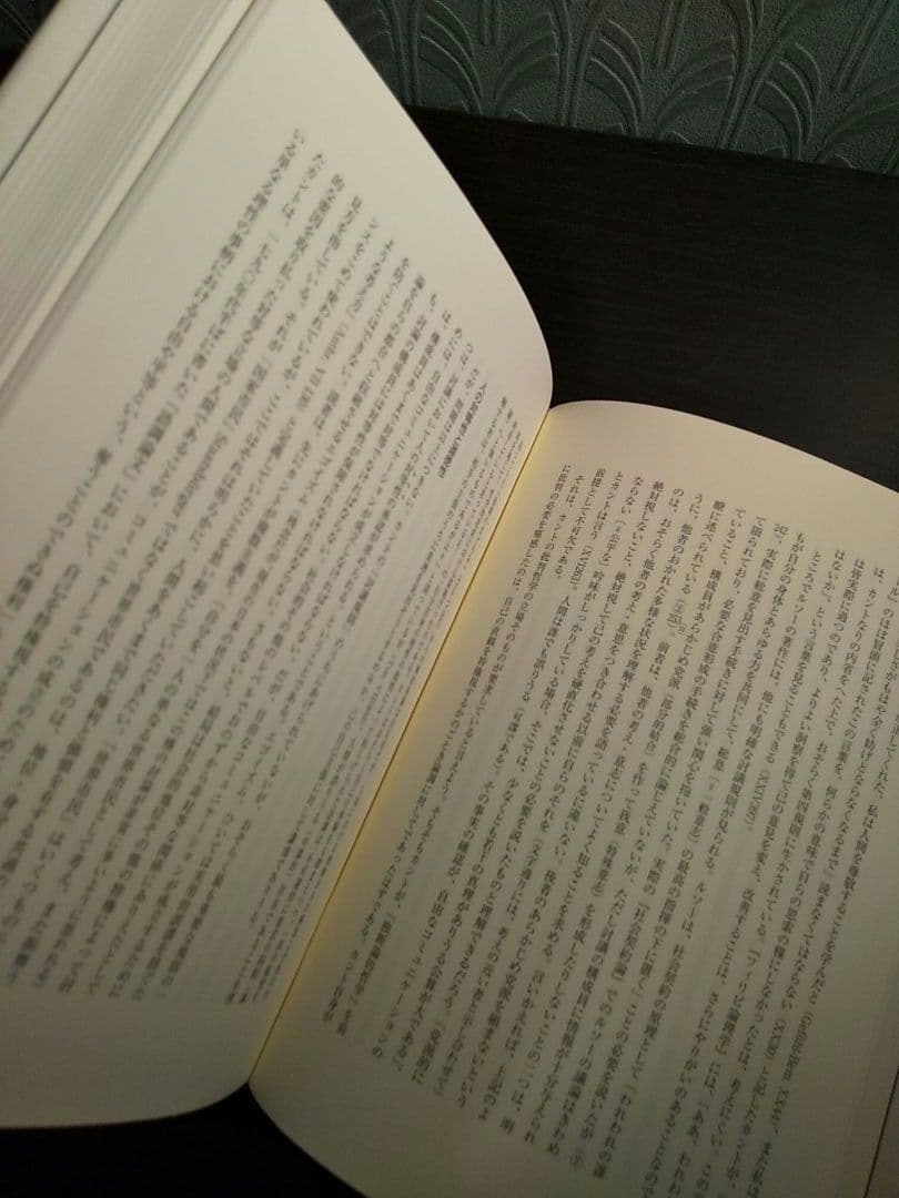 カント哲学と現代: 疎外・啓蒙・正義・環境・ジェンダー／杉田聡 ☆書込み無し保証