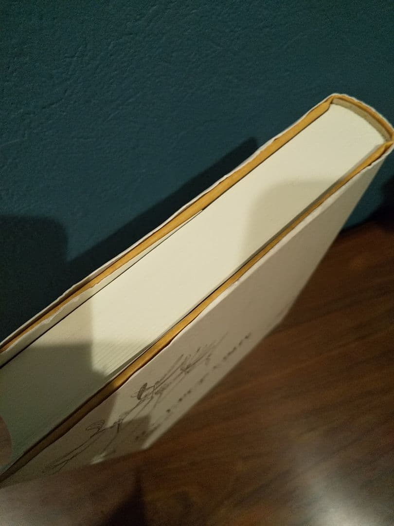 カント哲学と現代: 疎外・啓蒙・正義・環境・ジェンダー／杉田聡 ☆書込み無し保証