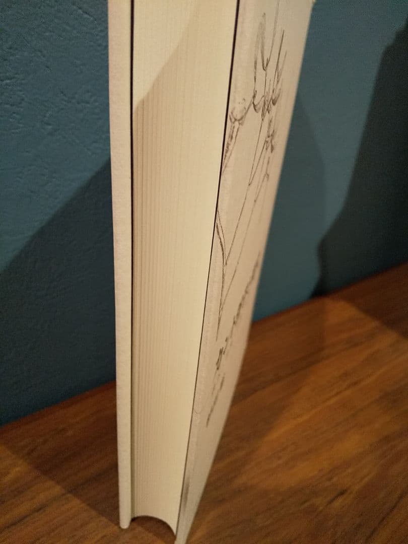 カント哲学と現代: 疎外・啓蒙・正義・環境・ジェンダー／杉田聡 ☆書込み無し保証