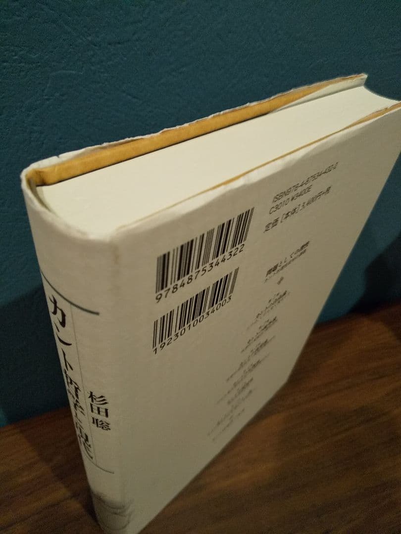 カント哲学と現代: 疎外・啓蒙・正義・環境・ジェンダー／杉田聡 ☆書込み無し保証