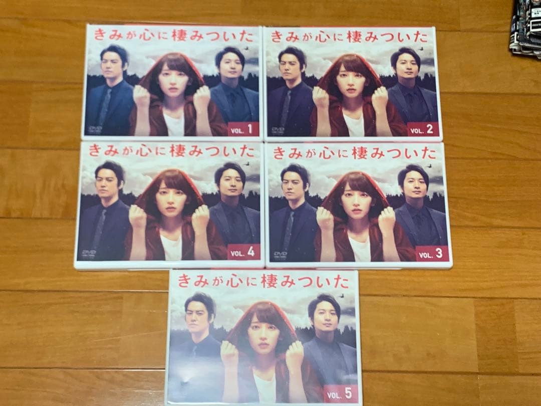 【送料無料】きみが心に棲みついた DVD全5巻セット 吉岡里帆 桐谷健太 向井理