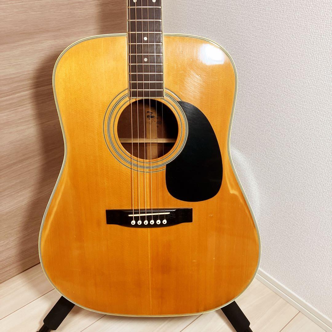 【調整済】Morales モラレス M-35 LYRE BIRD