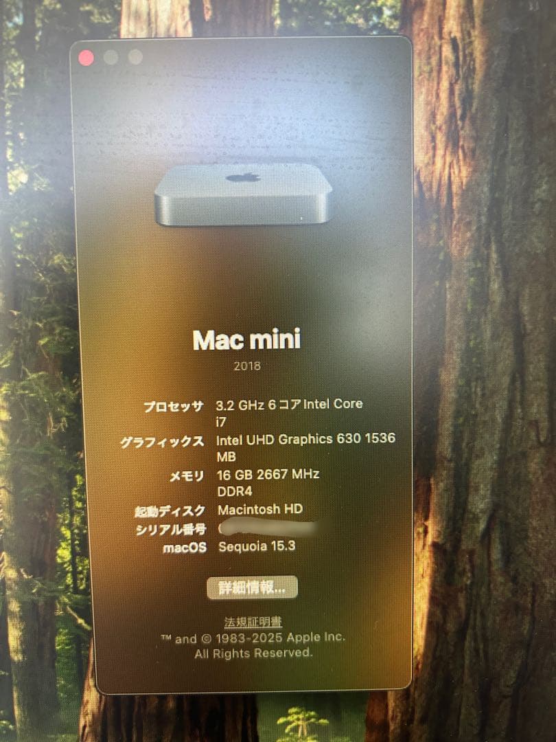 Macデスクトップ Apple Mac mini (2018) 16GB core i7