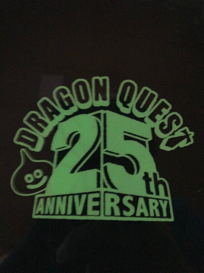 【希少 激レア】ドラゴンクエスト 25th 歴代勇者集結 クリアファイル 鳥山明