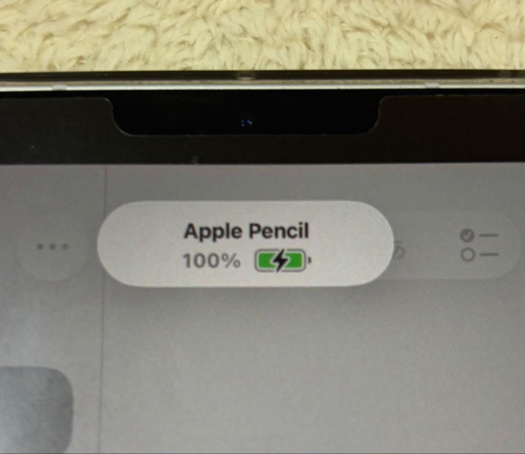 Apple Pencil 第二世代　　ホワイト 箱付き