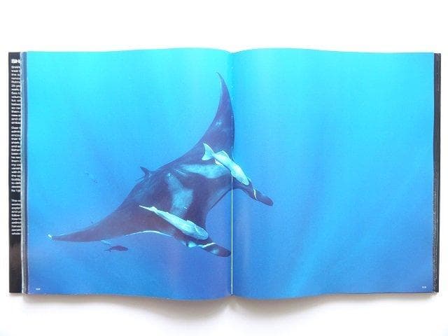洋書◆サメの写真集 本 鮫 ジョーズ 動物