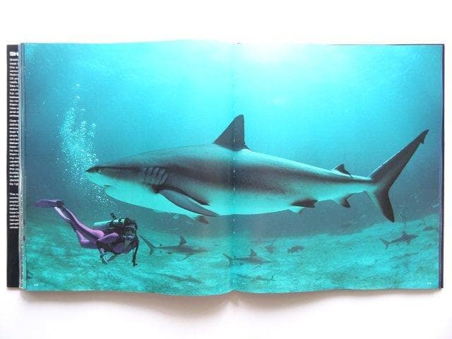 洋書◆サメの写真集 本 鮫 ジョーズ 動物