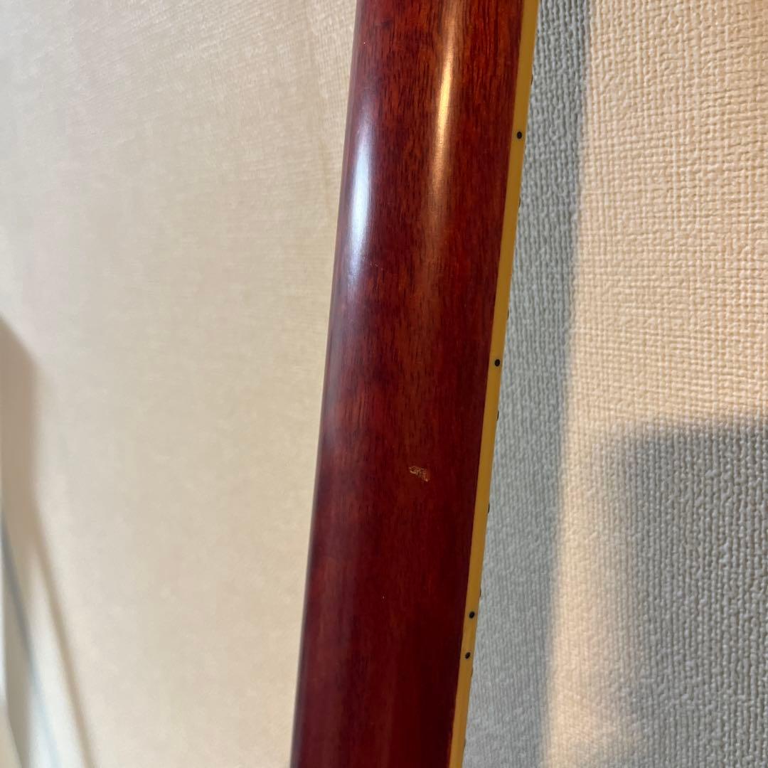 Epiphone SG 高品質のUシリアル