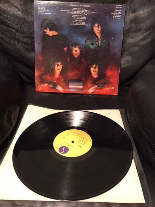 洋楽 DMZ US sire original PRESSING promo LP