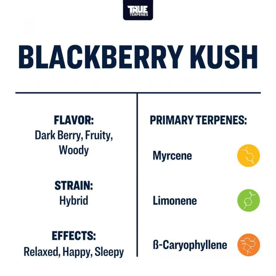 TRUE テルペン 香料 CBD CBN 10ml ブラックベリークッシュ