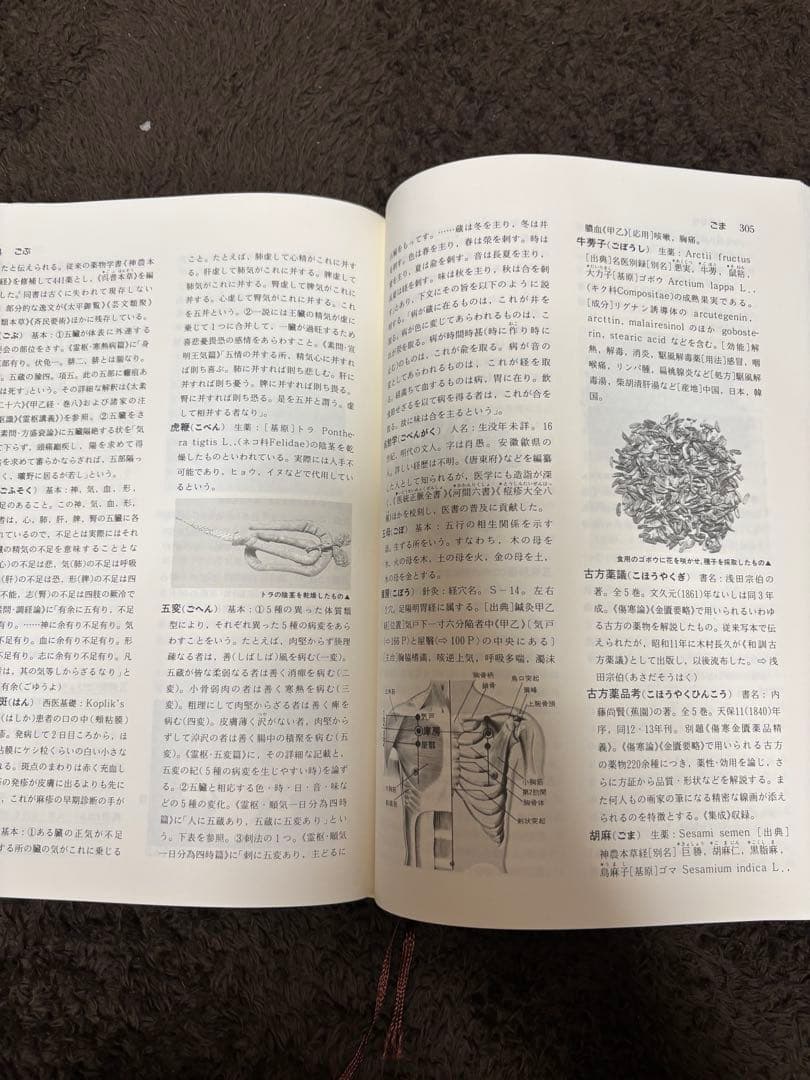 ✴︎値下げ✴︎東洋医学　図説　用語編