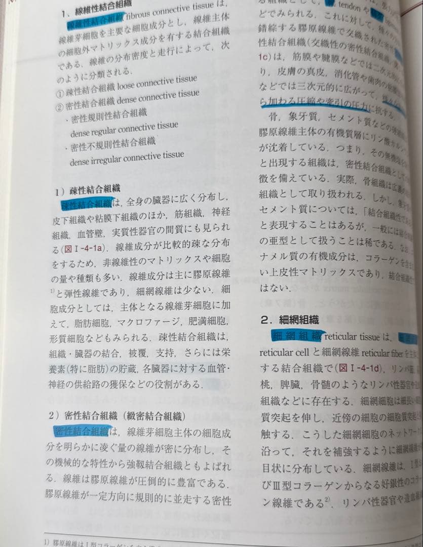 【美品】組織学・口腔組織学 第4版