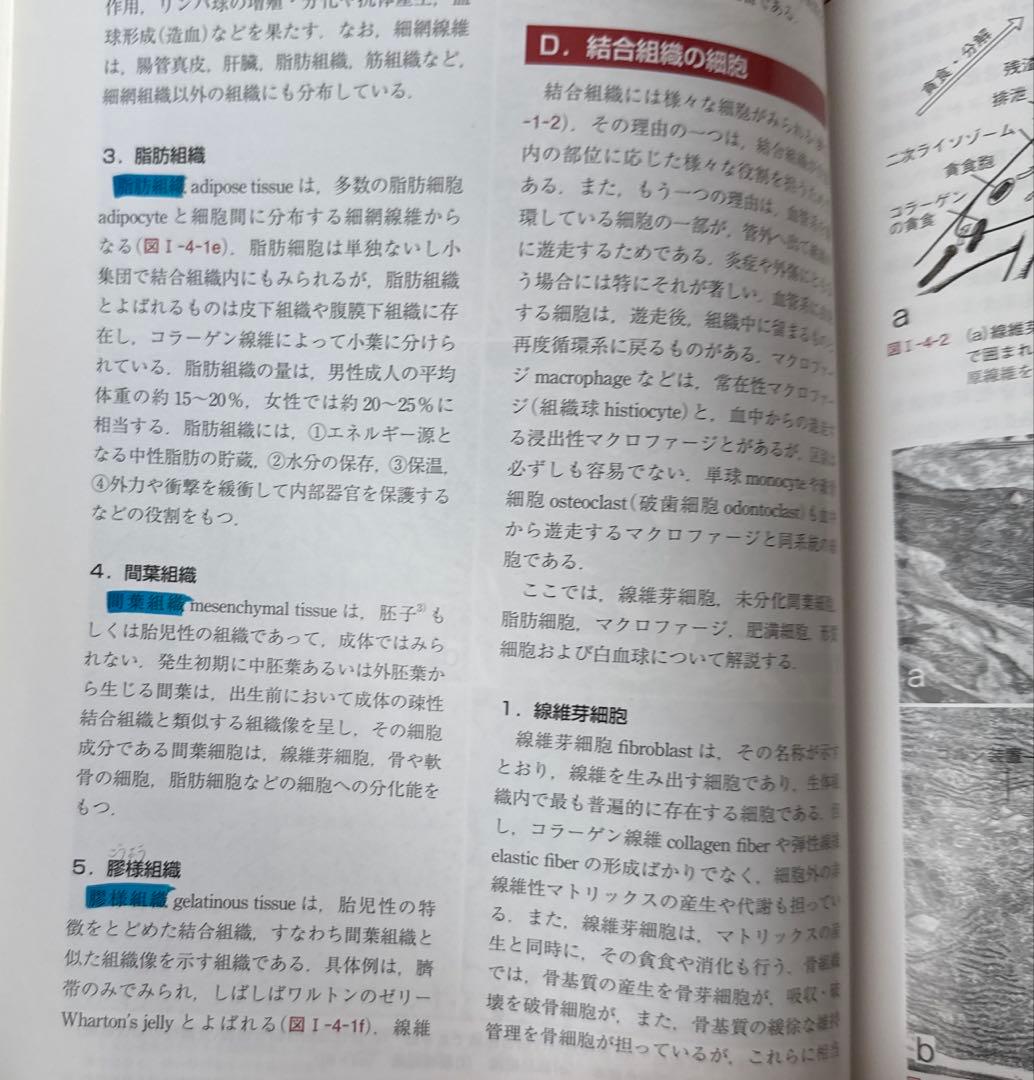 【美品】組織学・口腔組織学 第4版