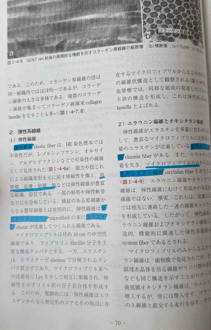 【美品】組織学・口腔組織学 第4版