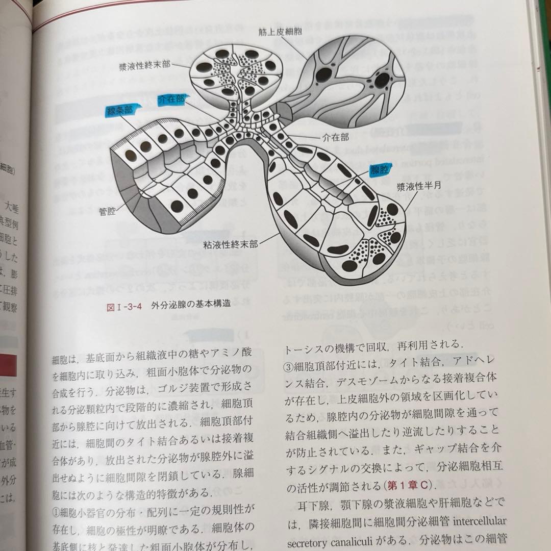 【美品】組織学・口腔組織学 第4版