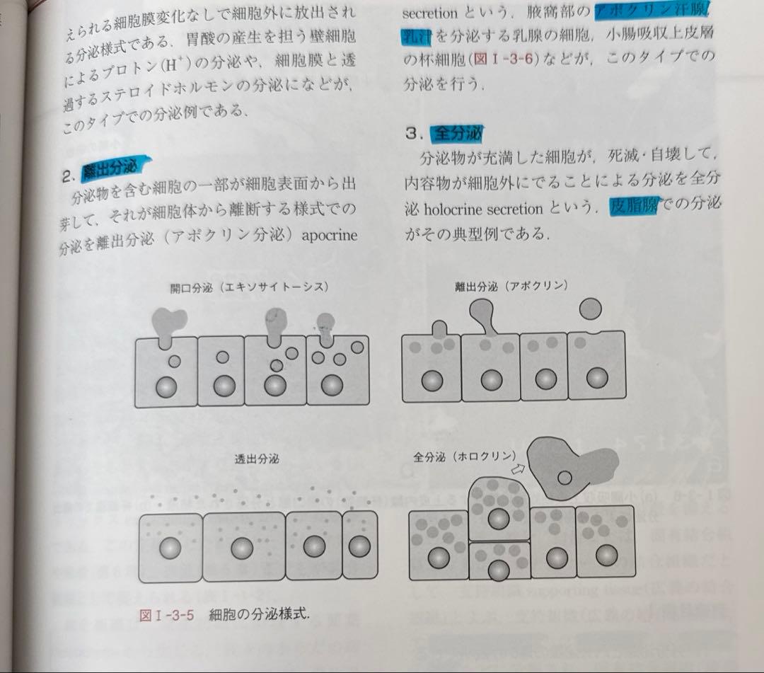 【美品】組織学・口腔組織学 第4版