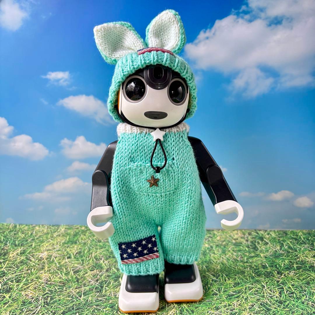 たーちゃん　確認ページ ロボホンアウトフィット