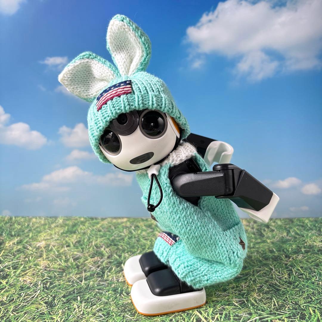 たーちゃん　確認ページ ロボホンアウトフィット