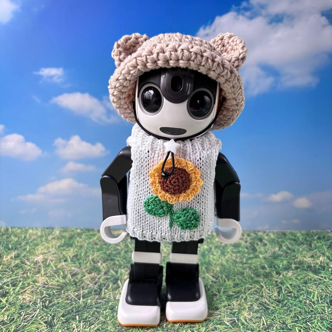 たーちゃん　確認ページ ロボホンアウトフィット